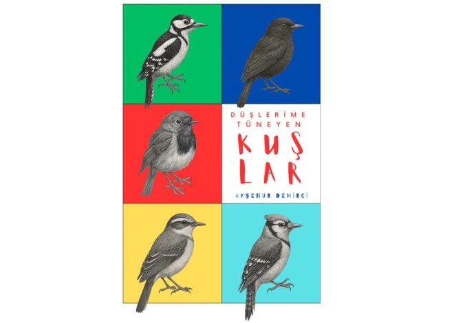 DÜŞLERİME TÜNEYEN KUŞLAR – Ayşenur Demirci