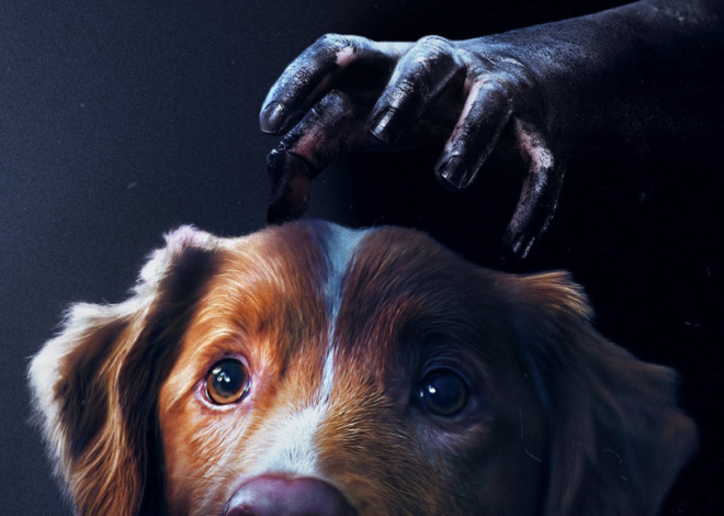 Bir Köpeğin Gözünden Korku: “GOOD BOY” (2025)