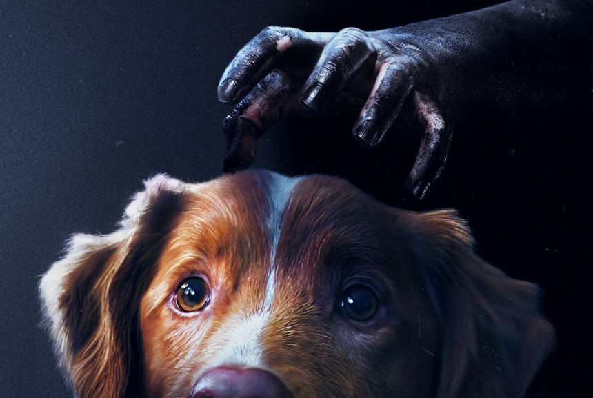 Bir Köpeğin Gözünden Korku: “GOOD BOY” (2025)