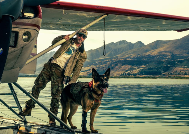 Brad Pitt’ten Alaska’da Amansız Mücadele: “Vahşinin Kalbi”